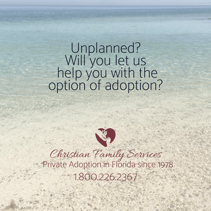 Local Adoption Agencies CFS CFS Gainesville, FL